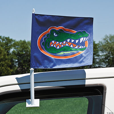 car window flag